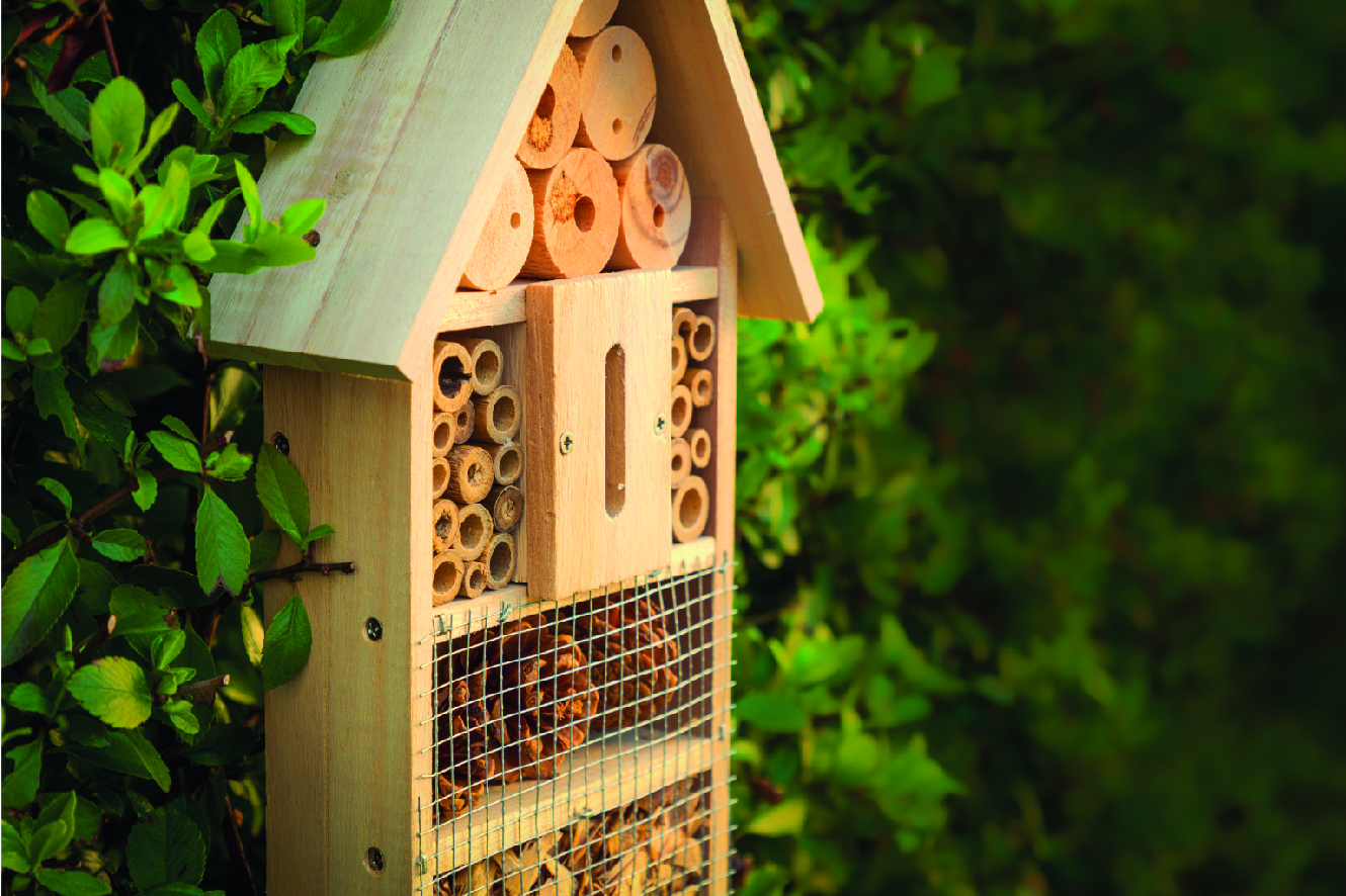 Parčík v Lazebnické